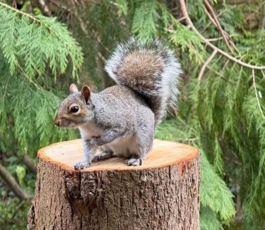 Exmouth Cabin | Parrys Hideaway