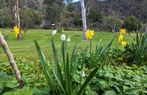 Dargo House | Parsons Flat Glamping