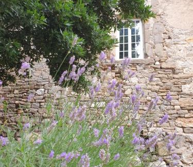 Canet Villa | Partie de Château du XI ieme à Canet d'Aude