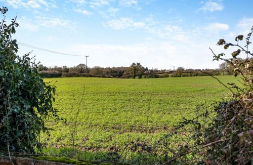 Colchester Apartment | Partridge - Uk48173