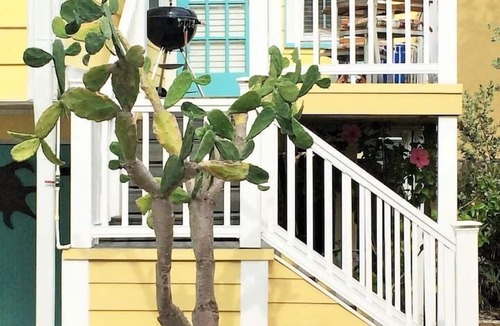 Pass-a-Grille Cottage | Pass-a-Grille Beach Getaway| Walkable| Bikes +Gear