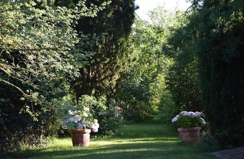 Soupex House | Passivelore - Escampette