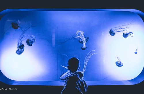 Corpus Christi House | Pathway to the Sea C202