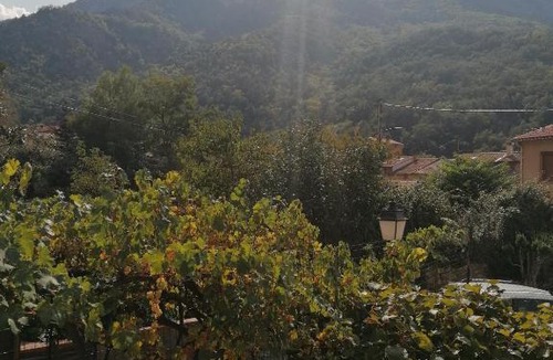 Sahorre Bed & Breakfast | Pati del sol