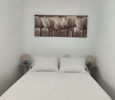 San Lorenzo Apartment | Patios de Rivas y Palma
