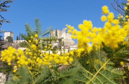 Valaurie Apartment | Pause couleur Lavandula
