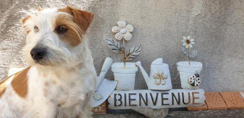 Valaurie Apartment | Pause couleur Lavandula