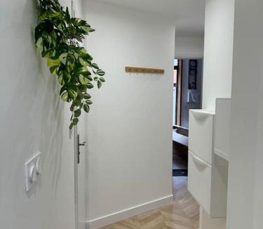 Ennevelin Apartment | Pause Nature Terracotta