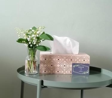 Isles-sur-Suippe Bed & Breakfast | Pavillon C.R