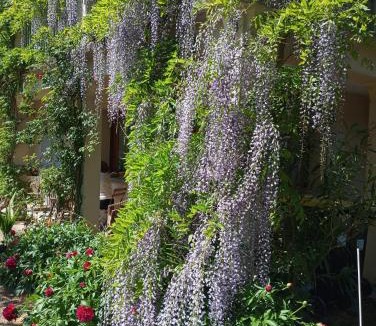 Orveau-Bellesauve House | Pavillon de Diane, Le Malesherbois