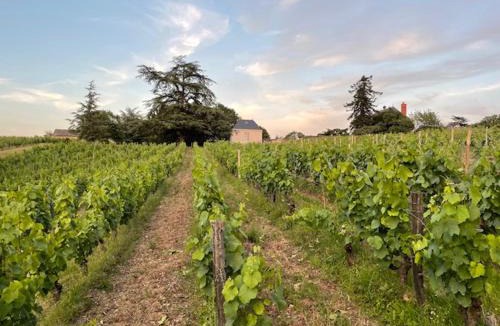 Soulaines-sur-Aubance Bed & Breakfast | Pavillon du XIXème au milieu des vignes