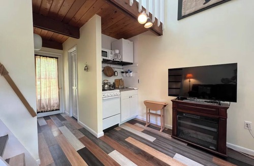 Canaan Valley Condo | PC25-Cozy Condo in Davis!