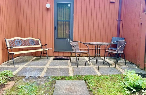Canaan Valley Condo | PC25-Cozy Condo in Davis!