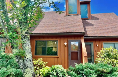 Canaan Valley Condo | PC25-Cozy Condo in Davis!