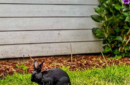 Longview House | Peace and Quiet ~ Unique Escape w/Sauna & BBQ