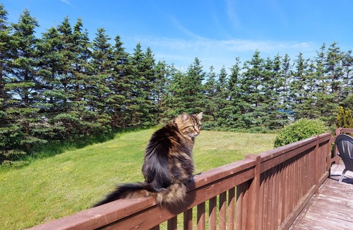 Freeport House | Peace, Cozy & Vibes - Island living w/water views, trails & modern comforts