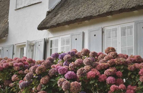 Alsgarde Apartment | Peace in beautifully renovated country house