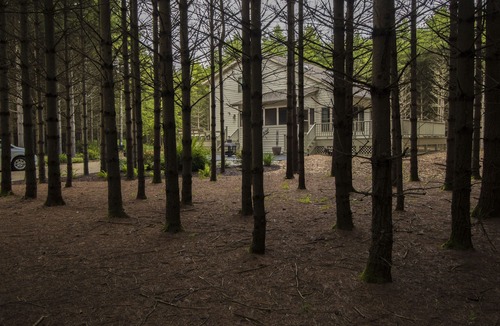 Baileys Harbor House | ' Peace in the Pines '