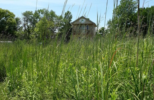 Murrayville Cabin | Peace on the Prairie Too (Tiny House) -Pet Friendly. No pet fee or cleaning fee