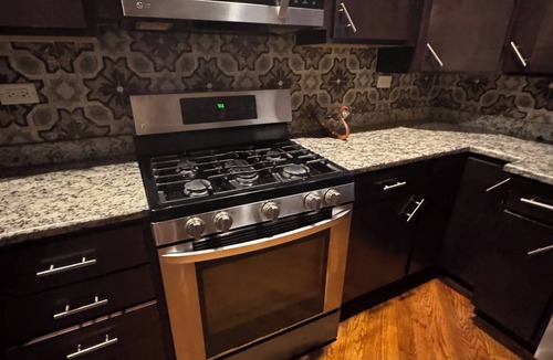 Near West Side Apartment | Peaceful 1-bedroom apartment with AC in vibrant Chicago