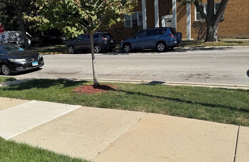 Skokie Apartment | Peaceful 2-bedroom apartment with AC in charming Skokie