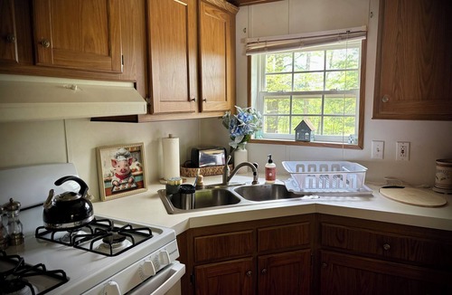 Afton House | Peaceful 5-Acre Family Retreat with a King Bed