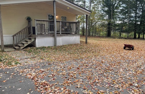 Afton House | Peaceful 5-Acre Family Retreat with a King Bed