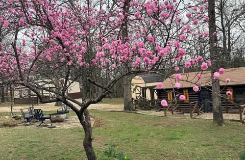 Diamond City Cabin | Peaceful and beautiful cabin by the lake!
