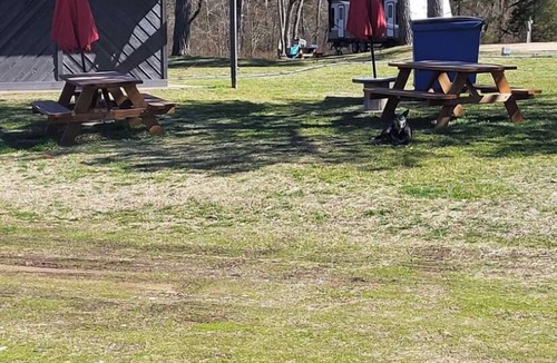 Proctor Cabin | Peaceful Cabin, fish, Illinois river, Kayak, Golfing
