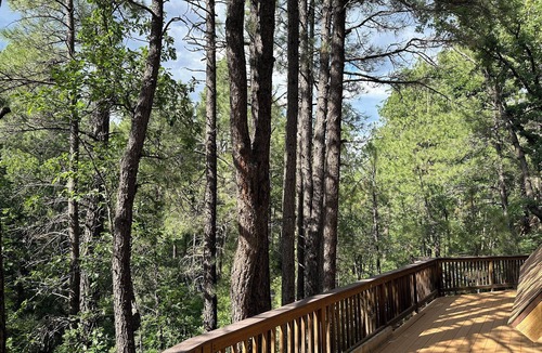 Munds Park Cabin | Peaceful Cabin on Munds Canyon with Open Forest from the Decks