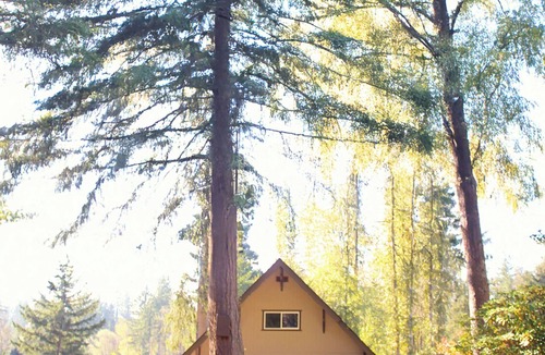 Silver Creek Cabin | Peaceful Cabin Retreat Near Mayfield Lake- Boating, Fishing, Hunting, Hiking