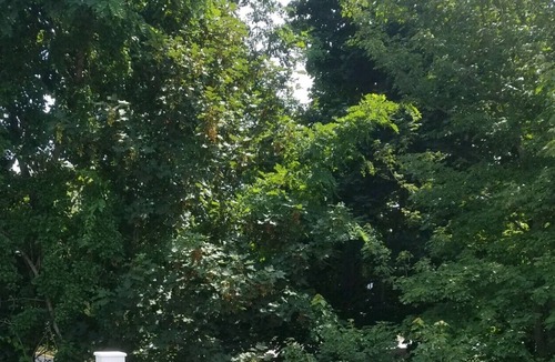 Orleans Condo | Peaceful Cape Cod Condo 7 minutes to great Nauset Beach!