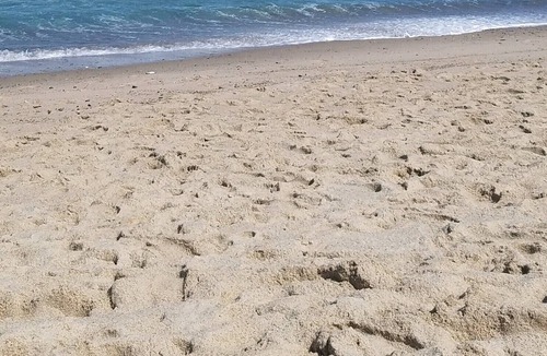 Orleans Condo | Peaceful Cape Cod Condo 7 minutes to great Nauset Beach!