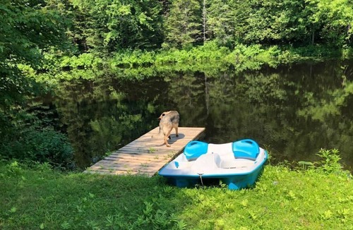 Sebright Cottage | Peaceful Cottage on Beautiful Quiet River