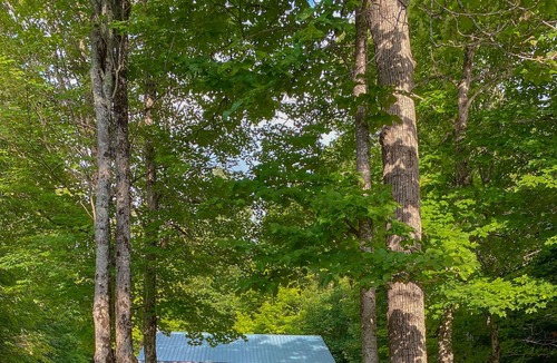 Blue Sea Cottage | Peaceful cottage on tranquil lake