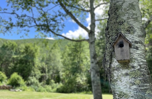 Chichester House | Peaceful Cottage with Mountain Views