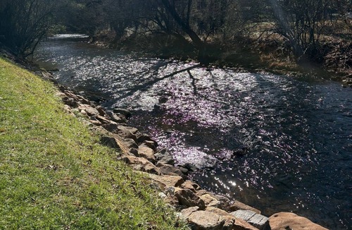 Lackey Hill RV Rental | Peaceful creekfront campsite on Deep Creek in Bryson City.