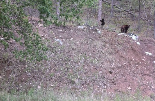 Ruidoso Cabin | PEACEFUL, EASY FEELING, HOT TUB! nFIREPLACE! PETS BY APPROVAL. WEEKLY DISCOUNTS