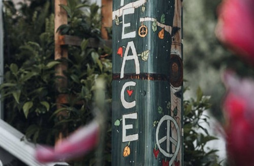 Sherwood Other | Peaceful Farm | Magical Experience