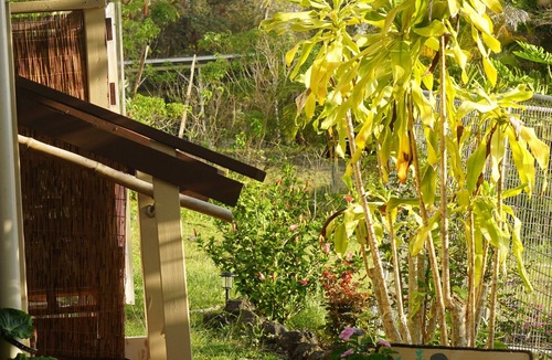 Opihihale Apartment | Peaceful farm stay on the hills of West Hawaii overlooking the pacific ocean!
