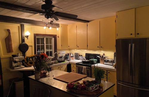 Havelock-Belmont-Methuen Cottage | Peaceful Forested Riverside Cottage with a Hot Tub, Cozy Vibes & Pets Welcome