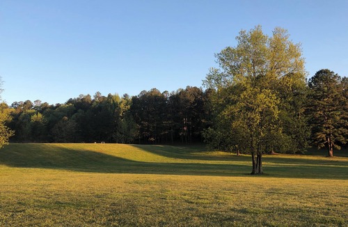 Caddo Gap Apartment | Peaceful Lodge Apartment: Full Kitchen + 74-Acre Retreat