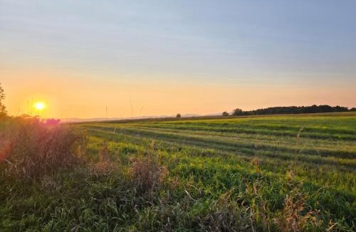 Fort Edward House | Peaceful Pasture Farm