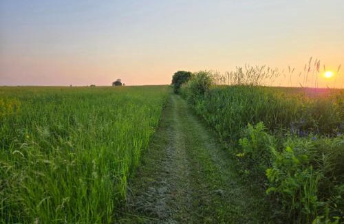 Fort Edward House | Peaceful Pasture Farm