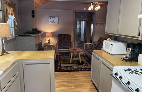 Town of Webb House | Peaceful Pines Cottage 5 minutes from Old Forge - Lake Access to Lake Tekini