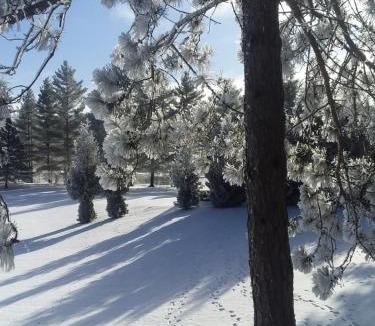 Renfrew County House | Peaceful restful & fun on the water