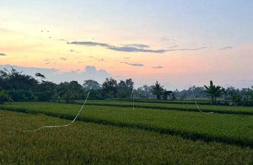 Mas House | Peaceful Room Rice Field & Pool