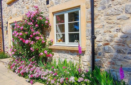 Radstock Cottage | Peaceful, scenic,cosy cottage near Wells and Frome