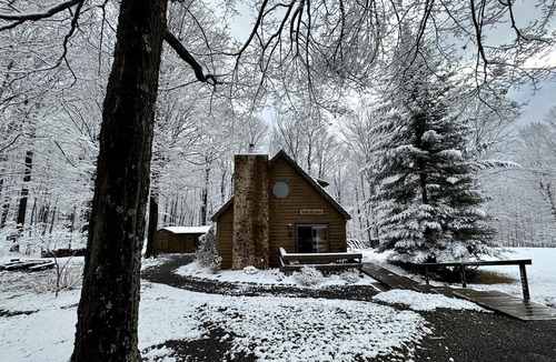 Dushore Cabin | Peaceful & Serene 🦌 Cozy Hillside Cabin ☀️ Koi Pond 🐸 Pet Friendly 🐕