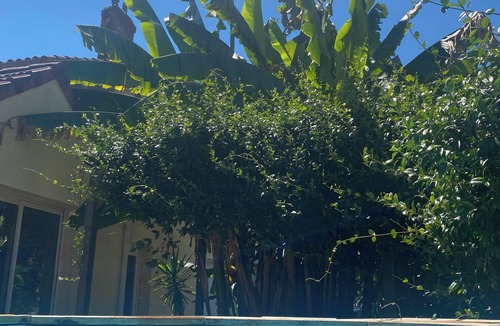 Lormont House | Peaceful town house